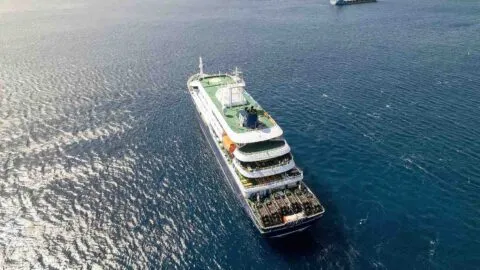 Contagio de hantavirus en crucero tiene bajo riesgo de propagación, asegura la OMS