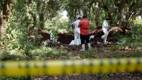 Causa en Común registra 157 fosas clandestinas en México; se concentran en 5 estados