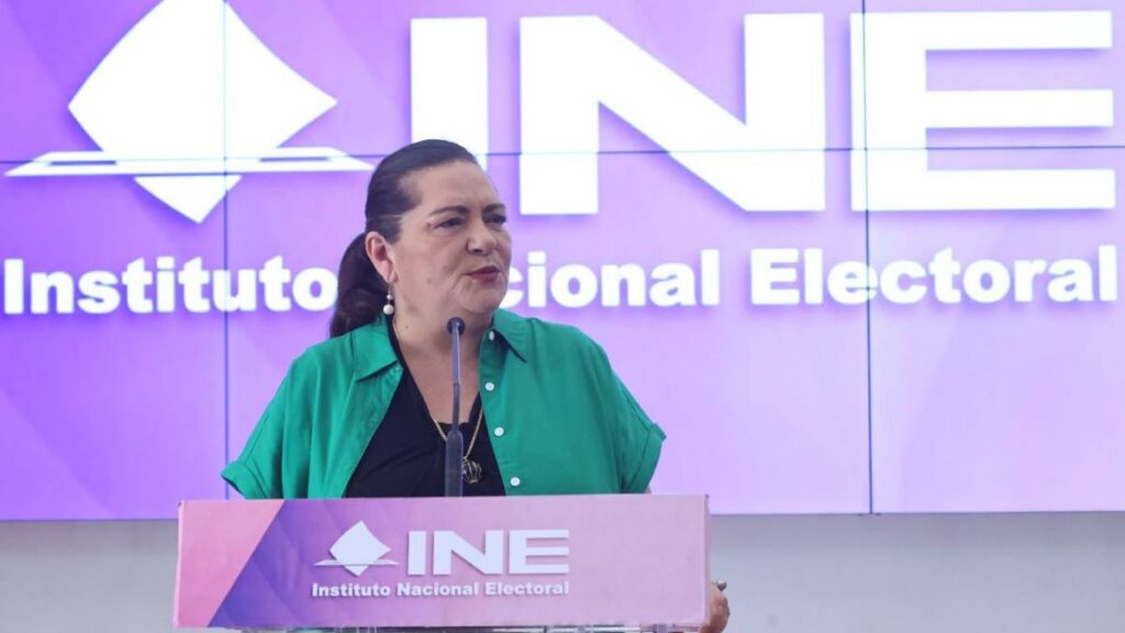 Guadalupe Taddei pide revisar perfiles de candidaturas.