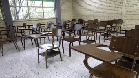 “México está sacrificando a millones de niños”: experta critica fin anticipado del ciclo escolar
