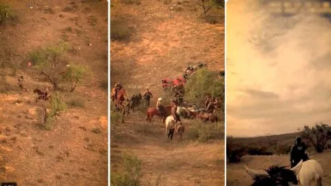 Como película: a caballo, Patrulla Fronteriza detiene a 13 migrantes en el desierto; uno ligado al Cártel de Sinaloa