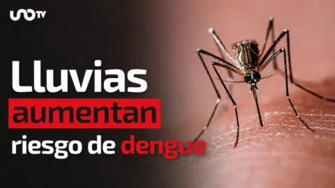Lluvias aumentan riesgo de dengue: evita criaderos en casa, huevecillos pueden sobrevivir un año