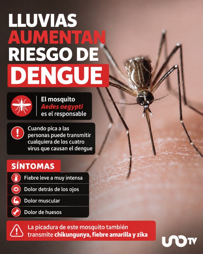 Lluvias aumentan riesgo de dengue: evita criaderos en casa, huevecillos pueden sobrevivir un año