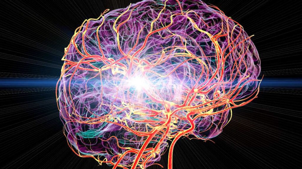 Estudio abre nuevas preguntas sobre la conciencia y el cerebro