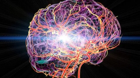 ¿Nunca se apaga? Estudio revela que el cerebro sigue “escuchando” incluso bajo anestesia