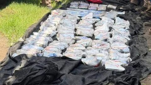 Fuerzas federales decomisan arsenal y droga en Tapachula, Chiapas