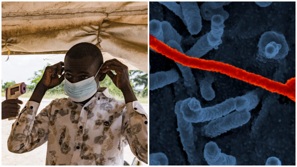 Ebola