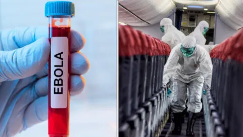 Ébola en México: riesgo bajo, dice especialista de la UNAM