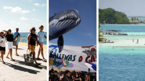 Obras de lujo que ponen en jaque a arrecifes, lagunas y playas en México