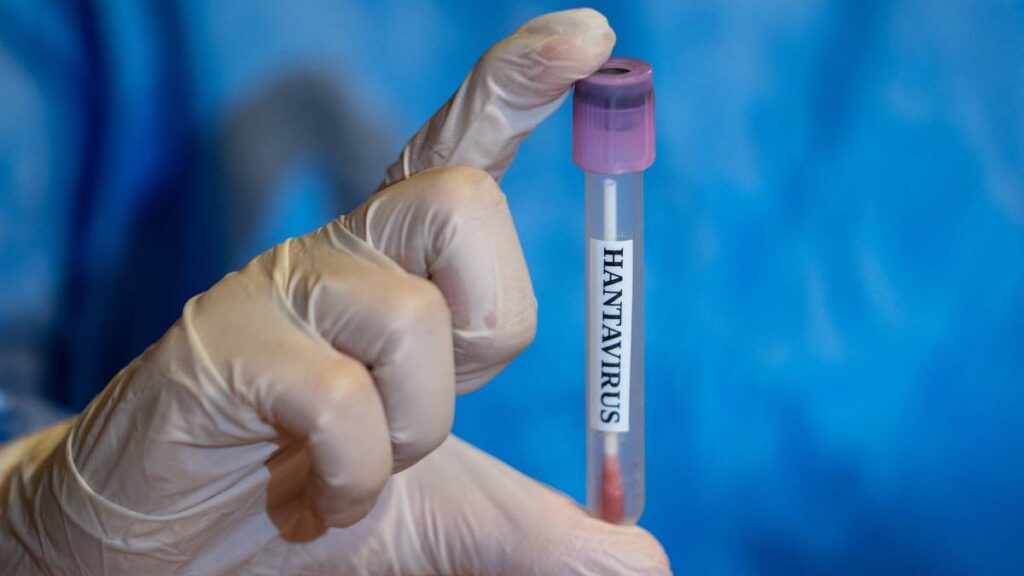 El hantavirus tiene una baja tasa de transición
