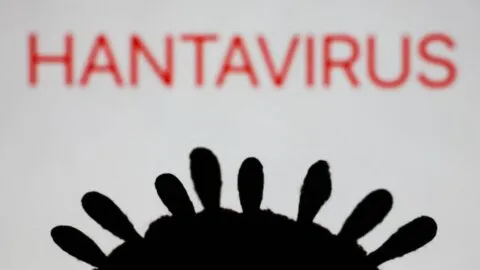 El hantavirus y su letal historia: de guerras a brotes en cruceros