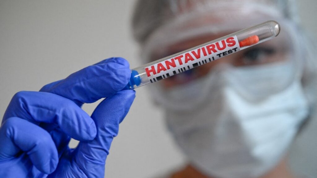 ¿Es posible reducir el riesgo de daños por hantavirus?
