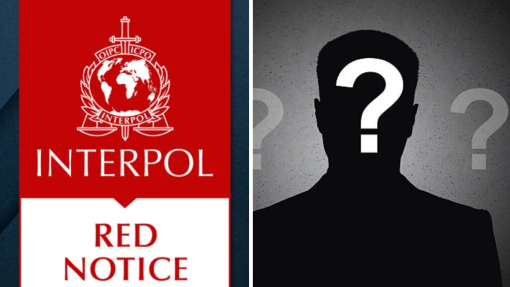 ¿Qué es la ficha roja de Interpol y cómo funciona? Foto: Interpol/Getty