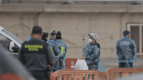 Francia confirma primer caso de hantavirus en pasajera repatriada del crucero MV Hondius