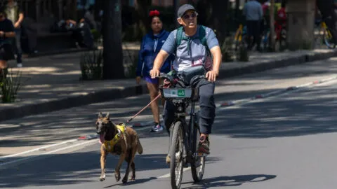 Frente frío 48 provocará lluvias este domingo, mientras 22 estados superarán los 40 grados