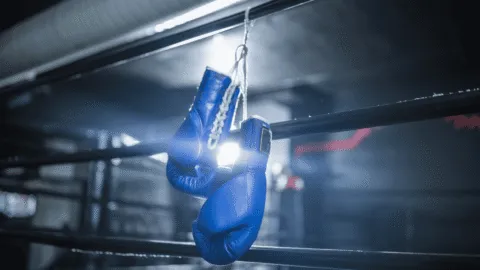 Desde "Rocky" hasta "El día de la pelea": recorrido por el boxeo en el cine