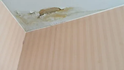 Cómo hacer un impermeabilizante casero para evitar goteras y humedad en temporada de lluvias