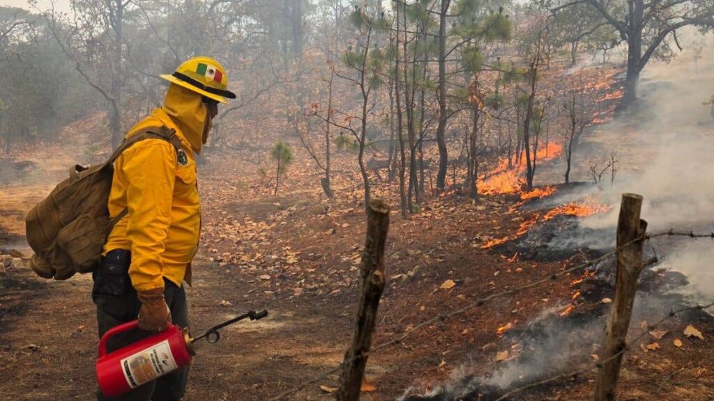 Estados de México afectados por incendios forestales.