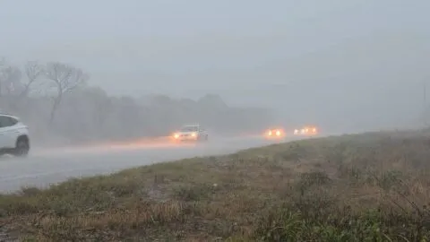 Turbonada sacude Mérida y deja caos vial, apagones y árboles derribados