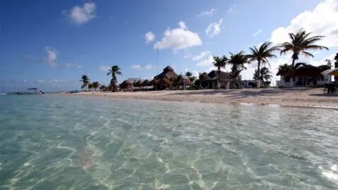 Convocan a marcha en la CDMX contra el proyecto "Perfect Day" en Mahahual
