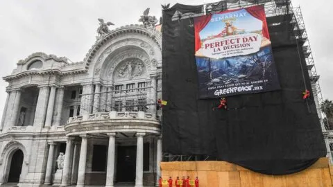 Greenpeace alza la voz contra el proyecto Perfect Day en Mahahual; Semarnat responde