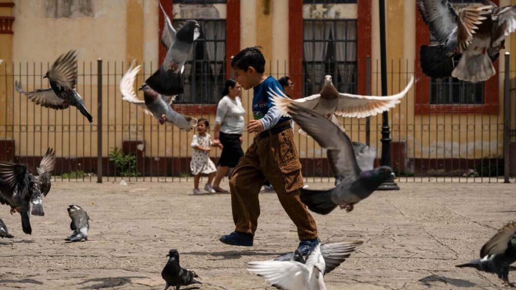 México busca disminuir el trabajo infantil durante el Mundial 2026