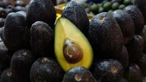 ¡No hay un solo tipo de aguacate! ¿Cuál es la diferencia entre el Hass, el criollo y el fuerte?
