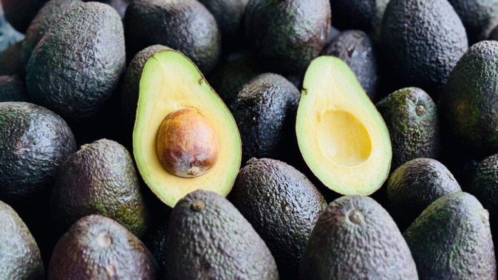 ¡No hay un solo tipo de aguacate! ¿Cuál es la diferencia entre el Hass, el criollo y el fuerte?