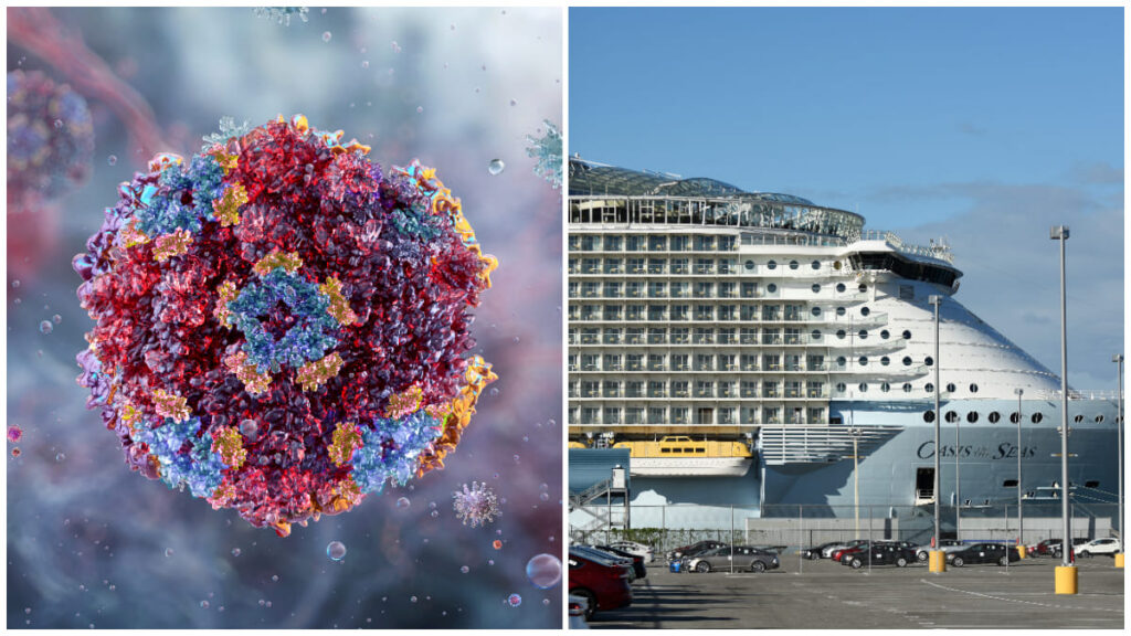 norovirus