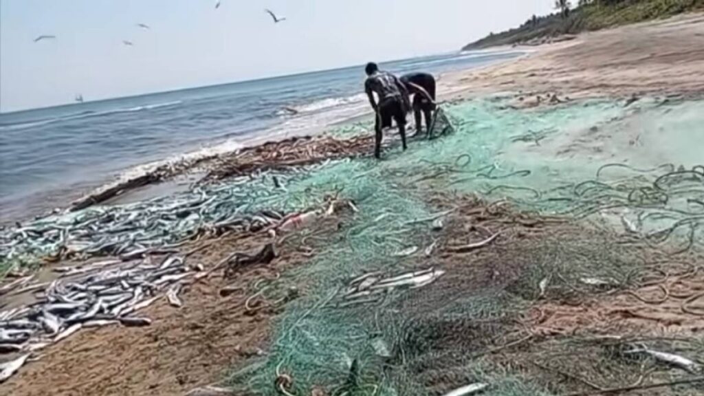 Pescadores de Cárdenas, Tabasco no pueden vender pescado.