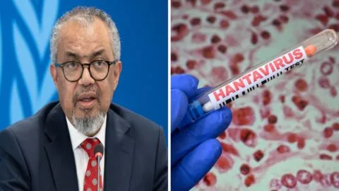“Esto no es otro COVID-19”: OMS asegura que riesgo por hantavirus sigue bajo