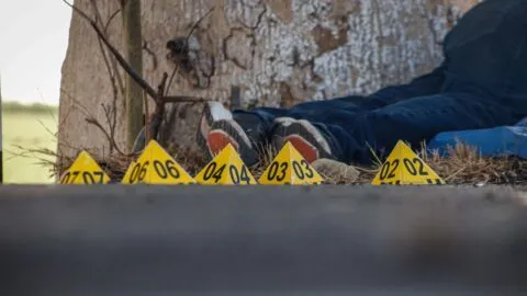 Segunda semana de mayo deja 280 homicidios en México; Guanajuato lidera lista con 27 casos 