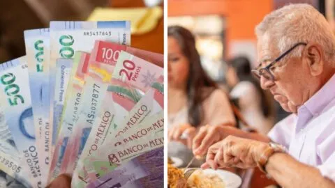 ¡Atención, beneficiarios del Edomex! INAPAM otorga hasta 50 % de descuento en alimentos