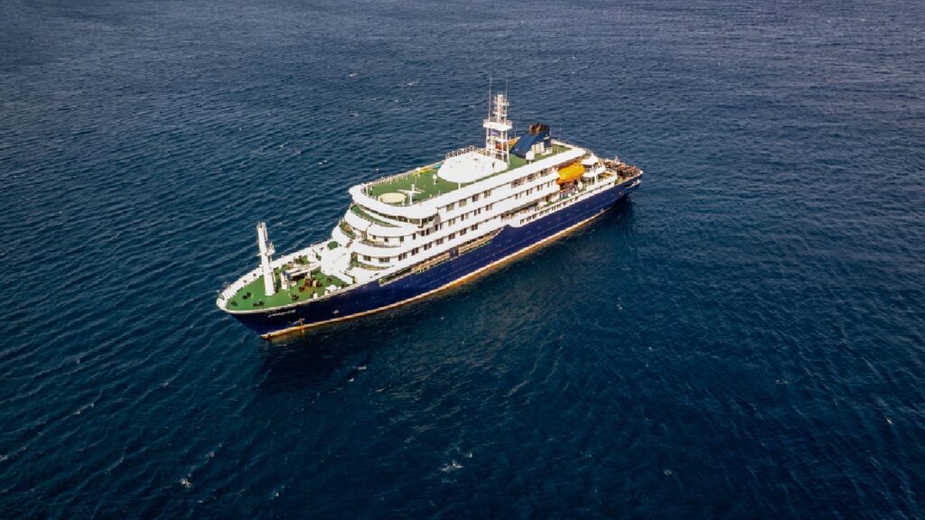 Investigan muertes por hantavirus en crucero internacional. Foto: AFP
