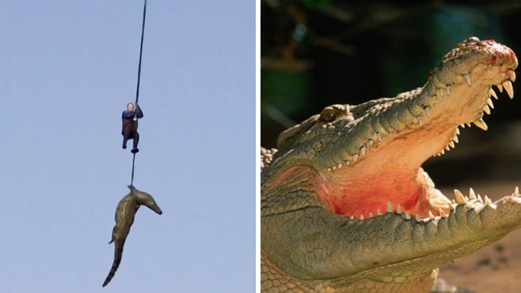 Atrapan a cocodrilo tras sospecha de restos humanos en su interior Foto: Reuters/Getty