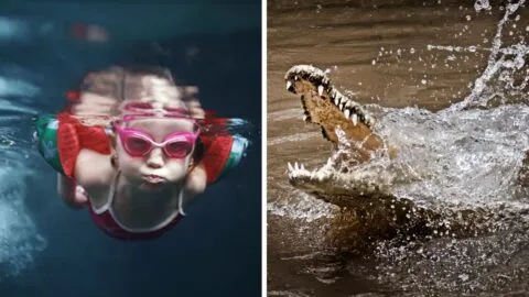 VIDEO: cocodrilo desata pánico en Cozumel durante competencia infantil