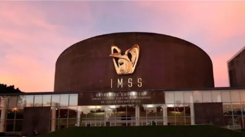 IMSS sí permite recuperar semanas cotizadas perdidas; conoce cómo hacerlo