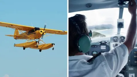 Volvieron a nacer: avioneta aterriza entre autos y cables en Phoenix, Arizona
