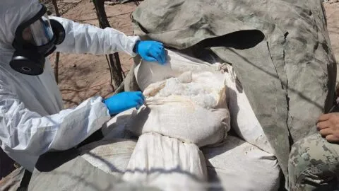 Desmantelan tres narcolaboratorios en Sinaloa; golpe al crimen asciende a 923 mdp