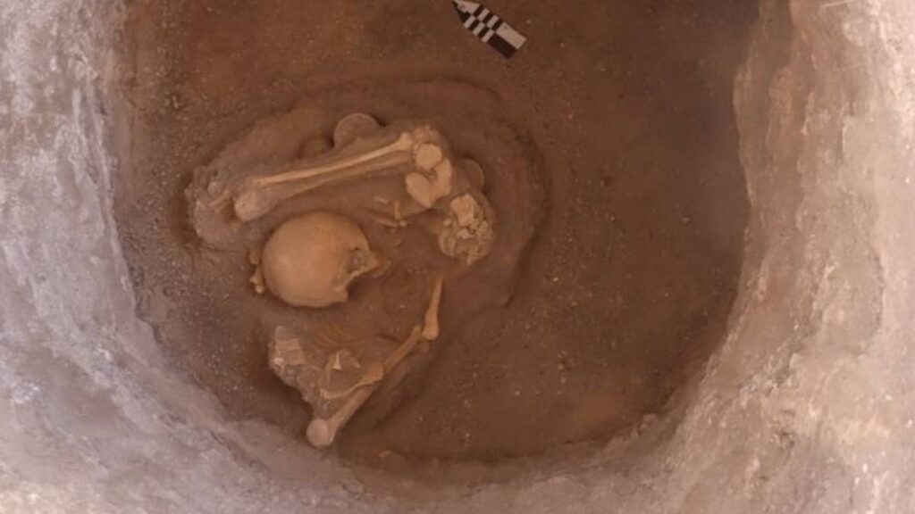 Las tumbas se hallaron durante excavaciones del Tren México-Querétaro.
