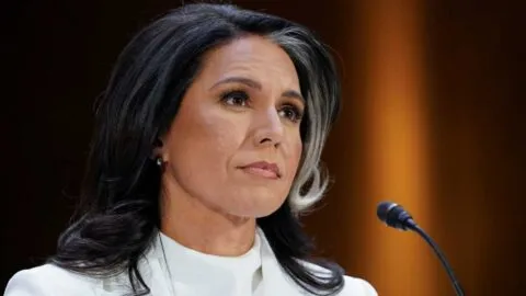 Tulsi Gabbard anuncia su salida como directora de Inteligencia Nacional de EE. UU.