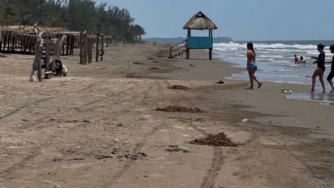 A dos meses del derrame, sigue la presencia de hidrocarburo en Veracruz
