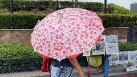 Chiapas supera los 40 grados por ola de calor: ¿cómo estará el clima mañana?