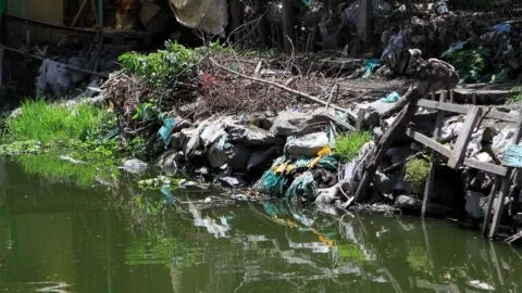 Denuncian descarga de agua contaminada en canales de Xochimilco; autoridades lo niegan