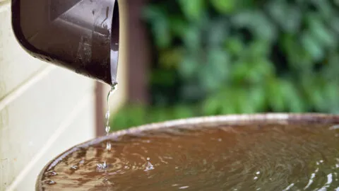 Recolecta la lluvia en casa: usos y cuidados básicos que ayuda a ahorrar agua