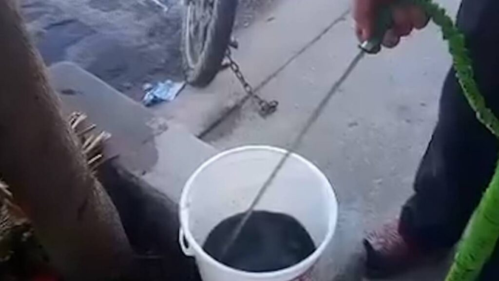 Aguas turbias en Zapopan.