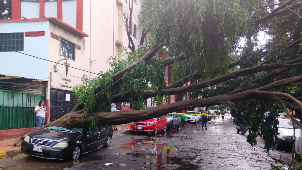 Tormenta en CDMX tras partido inaugural del Mundial 2026 provoca árboles caídos, inundaciones y caos vial