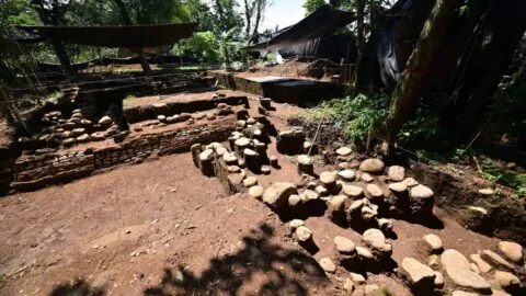 ¡Hallazgo histórico en Veracruz! Encuentran estructura arqueológica única con posibles rasgos mayas