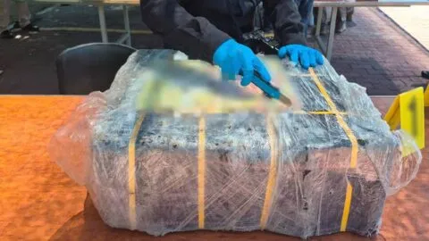 Autoridades decomisan 270 kilos de cocaína en el puerto de Manzanillo; localizan a 2 migrantes