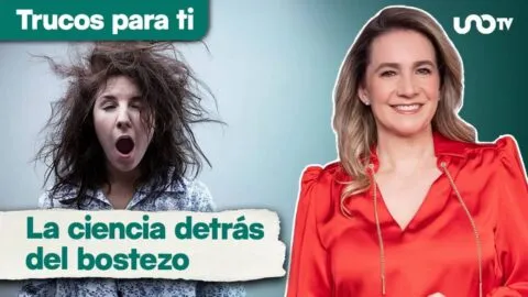 ¿Por qué bostezamos cuando alguien más lo hace? La ciencia detrás del “bostezo contagioso”